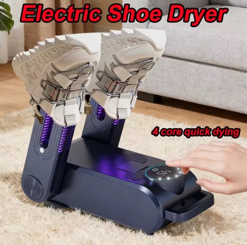 Professional electric shoe - professional,